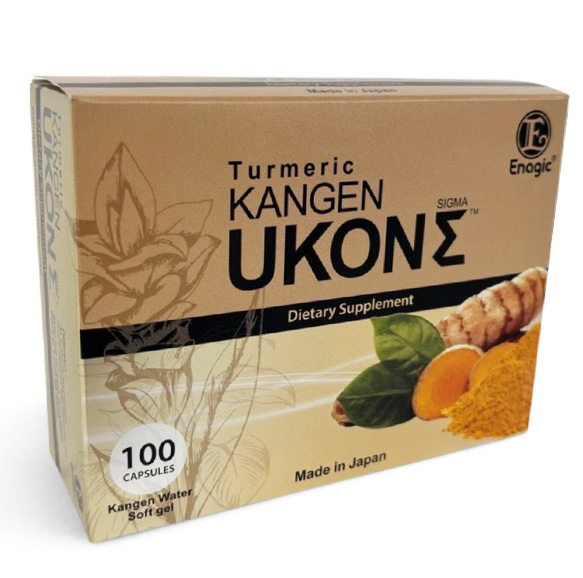 UKON Σ